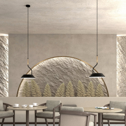 Aromas del Campo Aider Pendant Light