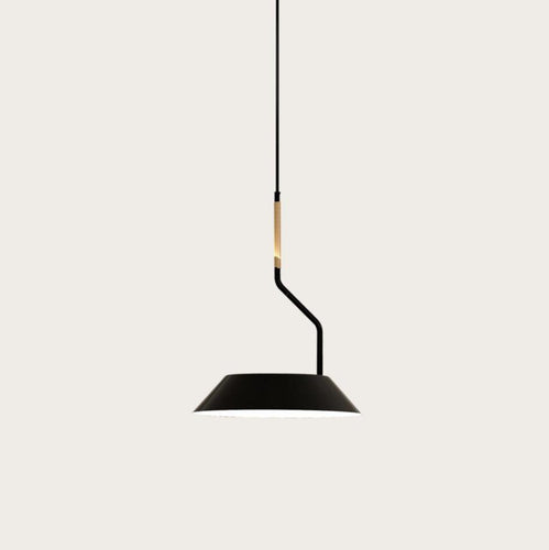 Aromas del Campo Aider Pendant Light