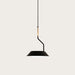 Aromas del Campo Aider Pendant Light