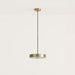 Aromas del Campo Ambor Pendant Light