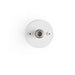 Bocci 14s Wall / Ceiling Light