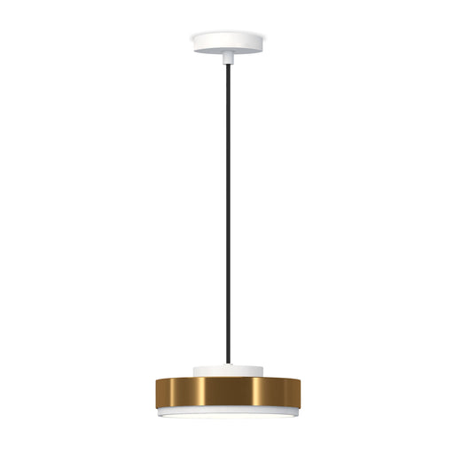 Contardi Discus Pendant Light