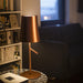 Foscarini Birdie LED Table Lamp