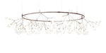 Moooi Heracleum The Big O Suspension Light