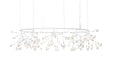 Moooi Heracleum The Big O Suspension Light