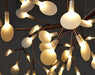 Moooi Heracleum The Big O Suspension Light