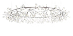 Moooi Heracleum The Big O Suspension Light