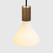 Tala Noma Pendant Light