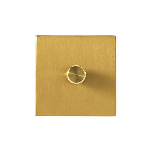 Tala Single Rotary Wall Dimmer in Brass